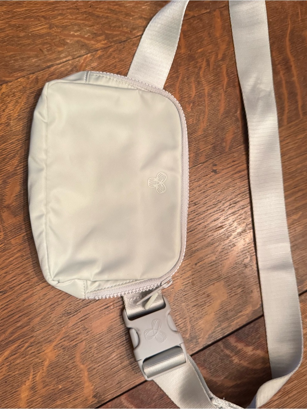 TnAction (Aritzia) On The Way Bag